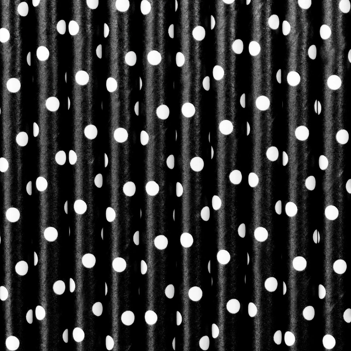 Black Polka Dot Paper Straws 10ct Zoomed In