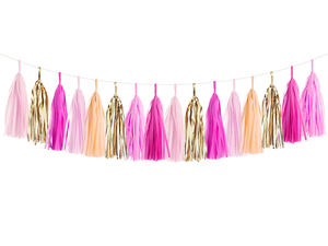 Pink Party Tassel Garland Kit | The Party Darling