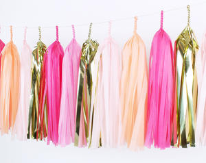 Pink Party Tassel Garland Kit - The Party Darling