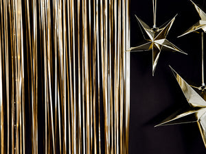 Matte Gold Fringe Curtain - The Party Darling