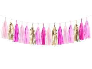 Pink Party Ombre & Gold Tassel Garland Kit | The Party Darling