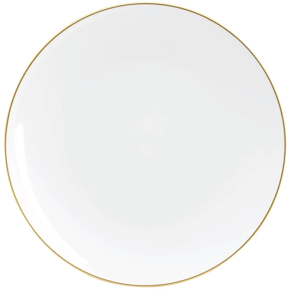 White With Gold Rim Plastic Dinner Plates 10ct | The Party Darling