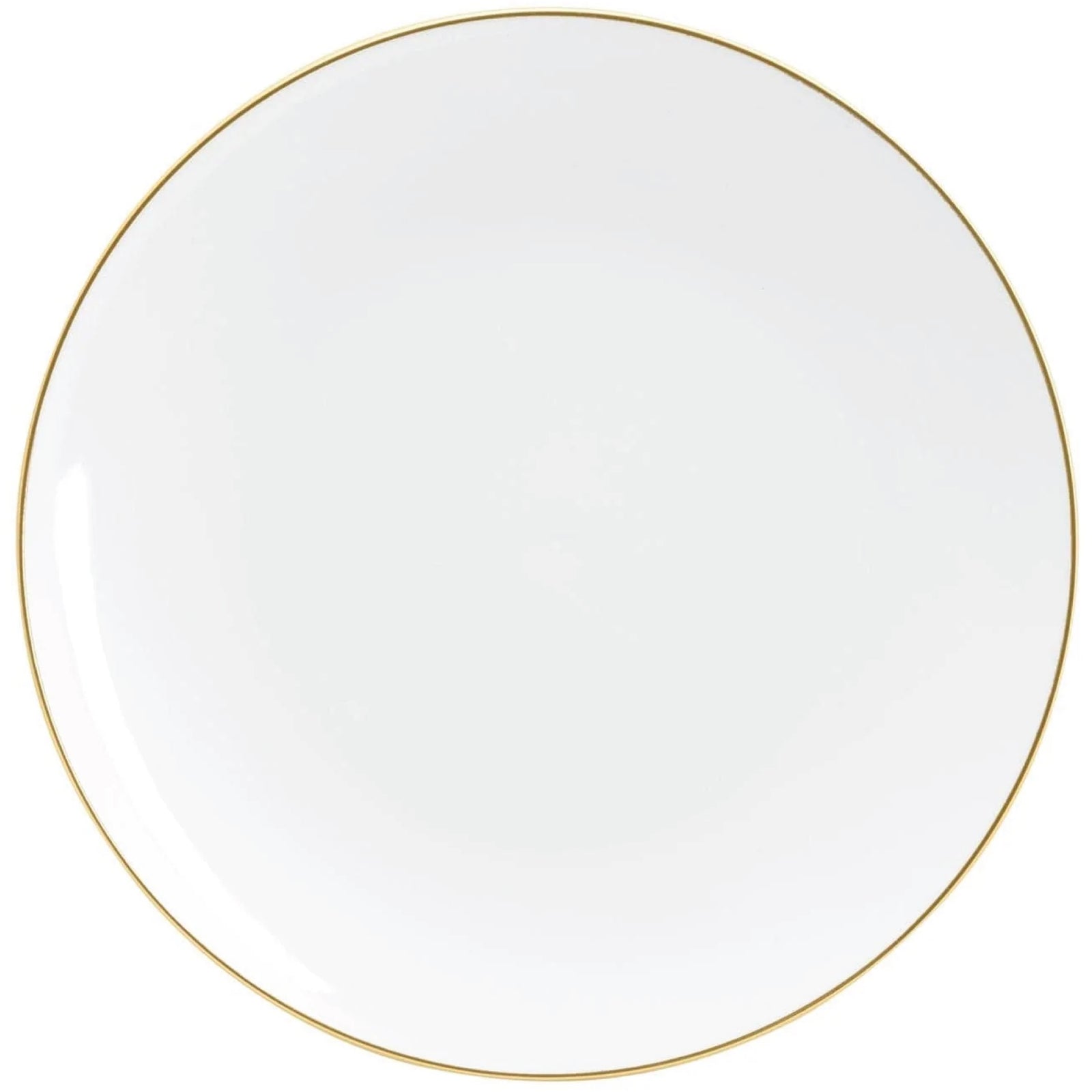 White With Gold Rim Plastic Dinner Plates 10ct | The Party Darling
